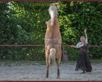 2-13JUIN 0414